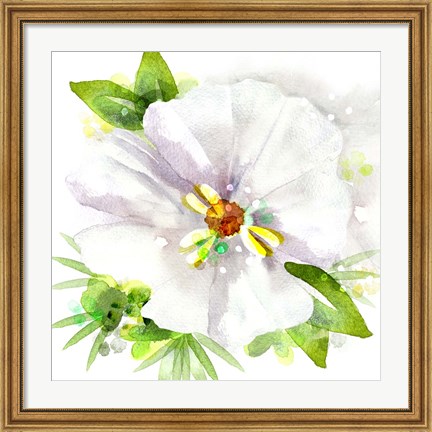 Framed Floral Beauty III Print
