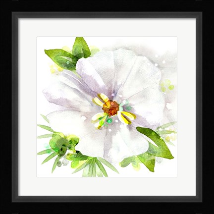 Framed Floral Beauty III Print