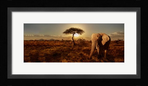 Framed Elephant and Tree Print