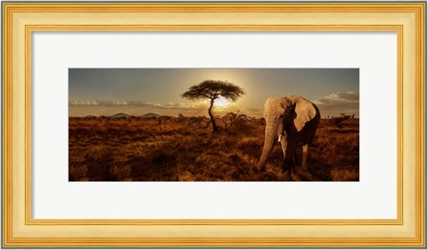 Framed Elephant and Tree Print