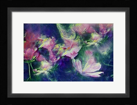 Framed Vintage Print