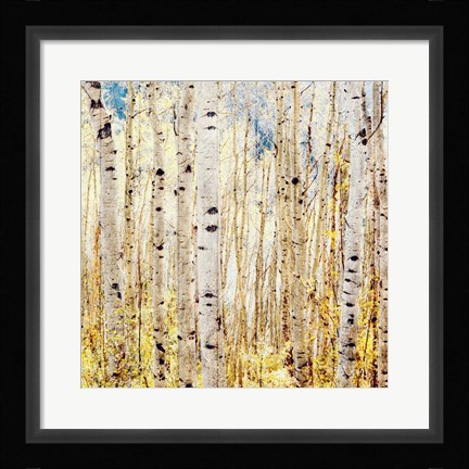 Framed Birch Grove Print
