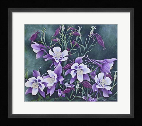 Framed Full House Print