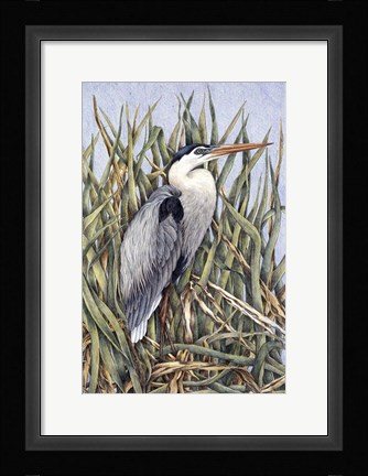 Framed Always Alert Print