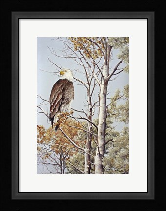 Framed At Rest Print