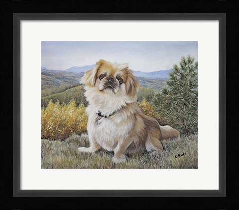 Framed Bo at the Mountains Print