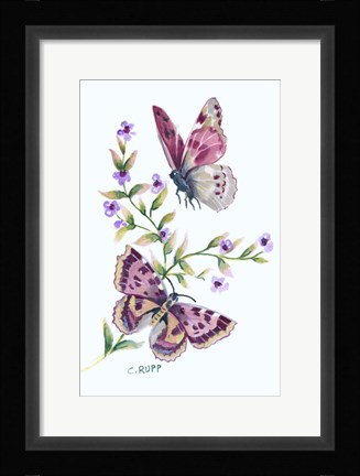 Framed Butterfly in Lilac Print
