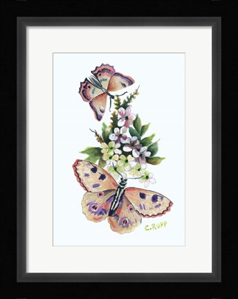 Framed Butterfly in Pink Print