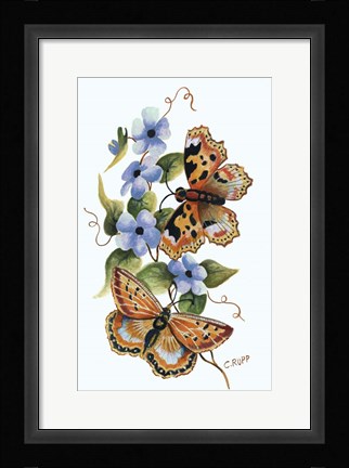 Framed Butterfly on Blue Print
