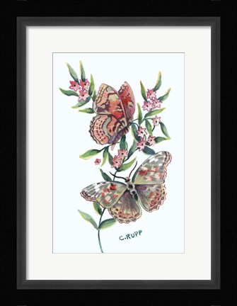 Framed Butterfly with Starflower Print