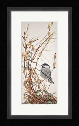 Framed Chickadee in Summer Grass Print