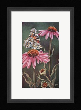 Framed Coneflower with Butterfly Print