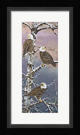 Framed Eagle Trio at Dawn Print