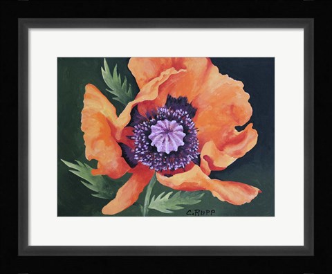 Framed Red Poppy II Print
