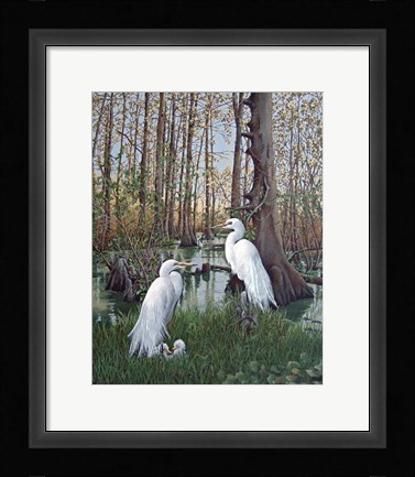 Framed Snowy White Egret Nesting Print