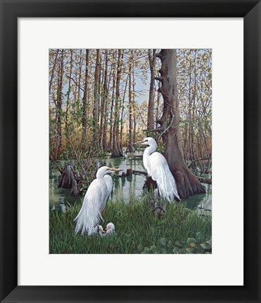 Framed Snowy White Egret Nesting Print