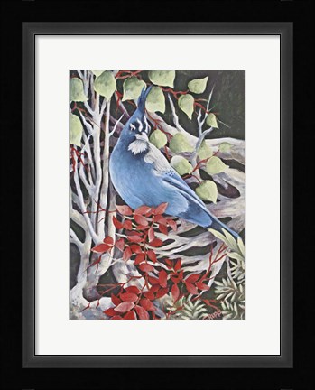 Framed Stellar Jay Waiting for Fall Print