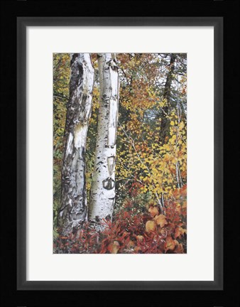 Framed Aspen Duo Print