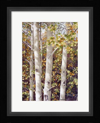 Framed Aspen Quartet Print