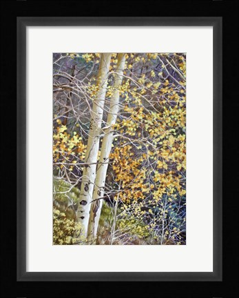 Framed Color of Autumn Print