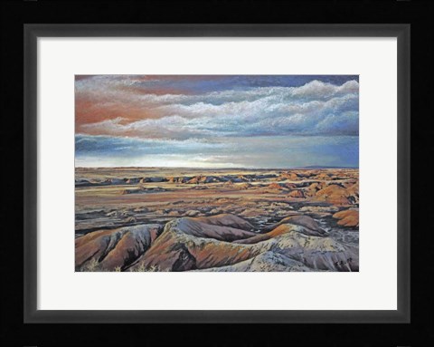 Framed Desert Rain Print