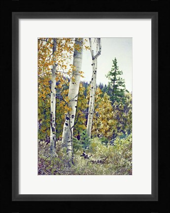 Framed Edge of the Forest Print