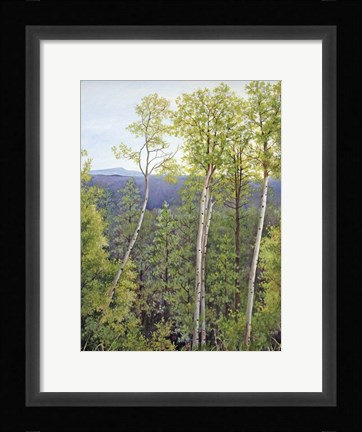 Framed Forest Road Aspen Print