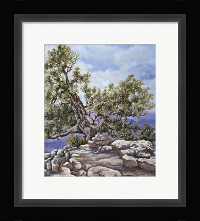 Framed Grand Canyon Rim Print