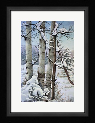 Framed Winter Snow with Aspen Print