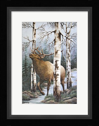 Framed Majestic Elk Print