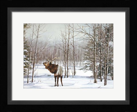 Framed Valley Of The Utes Print