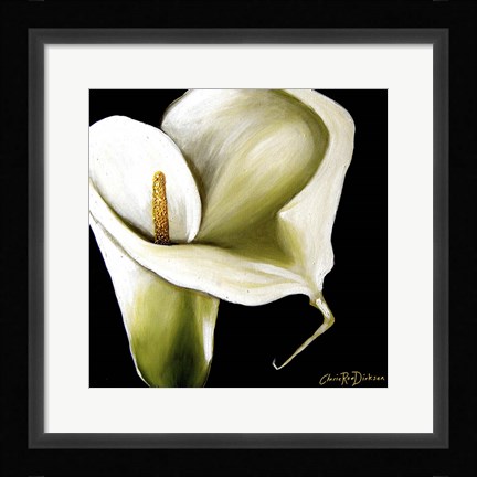 Framed Arum Lily Ii Print