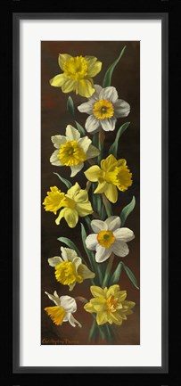 Framed Summer Splendor Print