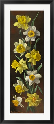 Framed Summer Splendor Print