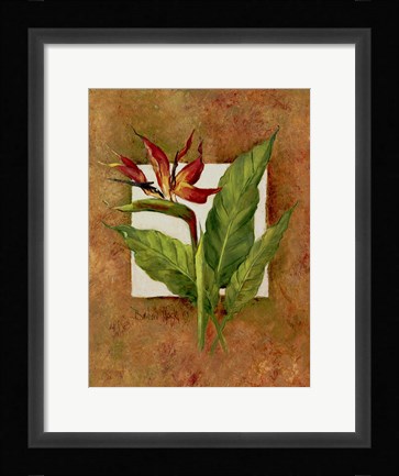Framed Tropical Squares 4 Print
