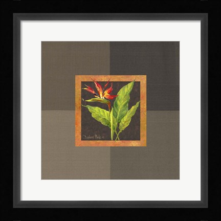 Framed Tropical Treasures II Print