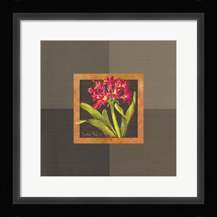 Framed Tropical Treasures IV Print