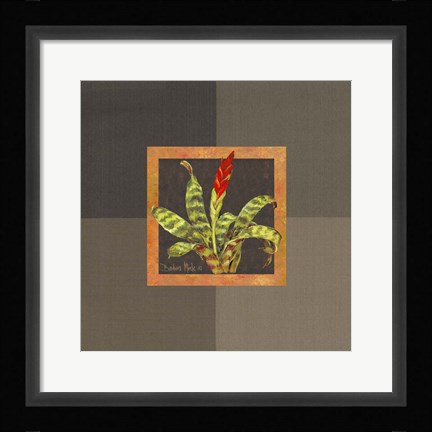 Framed Tropical Treasures III Print