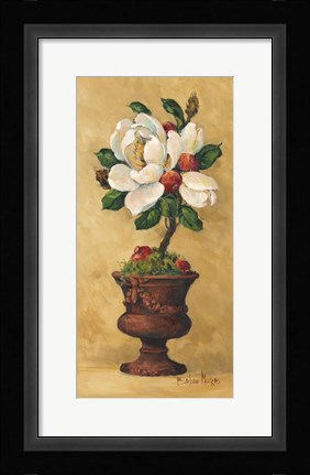 Framed Magnolia Topiary II Print