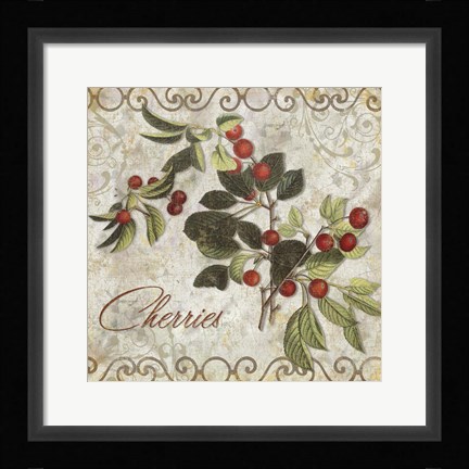 Framed Pastoral Fruits III Print