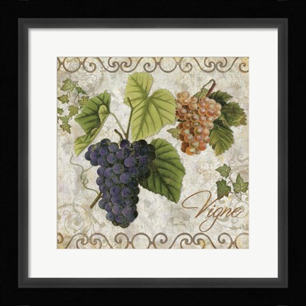 Framed Pastoral Fruits IV Print