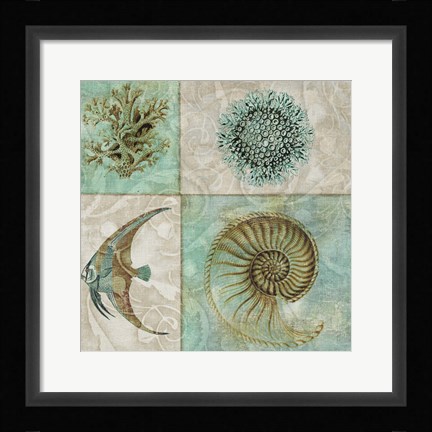 Framed Sea Life II Print