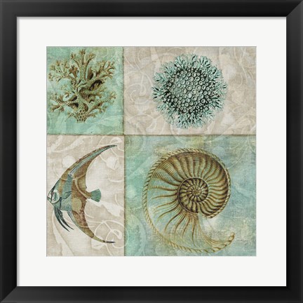 Framed Sea Life II Print
