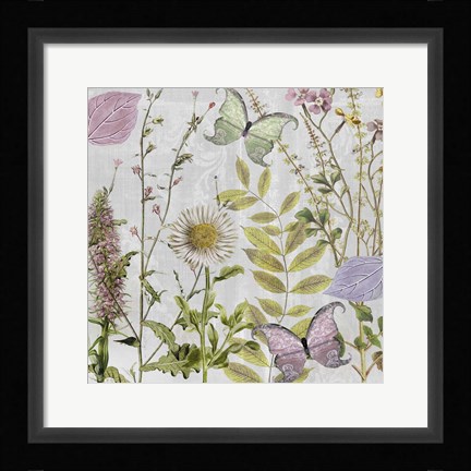 Framed Botanique II Print