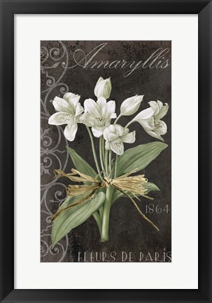 Framed Fleurs de Paris I Print