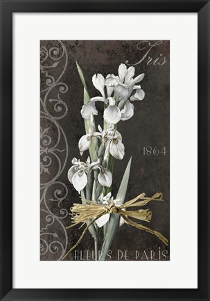Framed Fleurs de Paris II Print