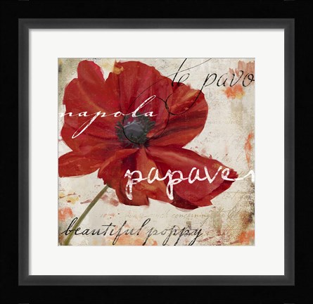 Framed Le Pavot I Print