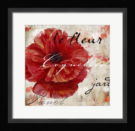 Framed Le Pavot II Print