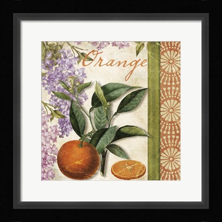 Framed Summer Citrus II Print