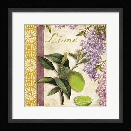 Framed Summer Citrus IV Print